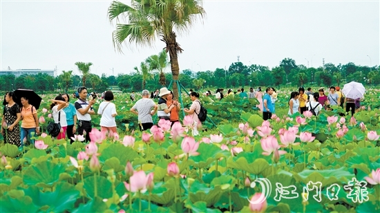 梅江農業(yè)生態(tài)園迎來大批市民游客前來打卡。