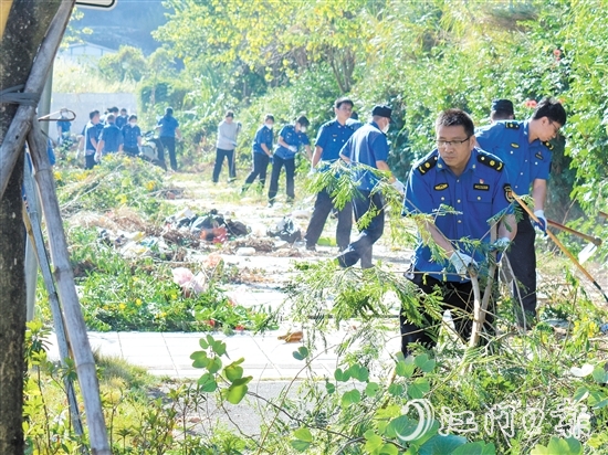 區(qū)城市管理綜合執(zhí)法局在豐樂路省實江門學(xué)校東門段開展雜草清理工作。