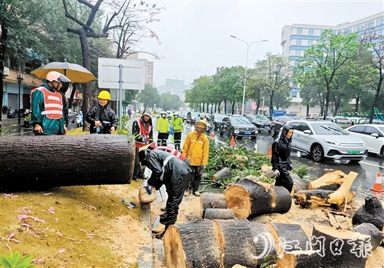 經(jīng)過加急作業(yè)，工作人員完成部分路段的清障工作，讓車輛順利通行。